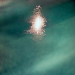 Ah Trees - Shark Bait - Internet Download