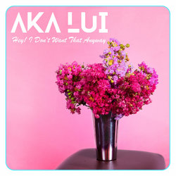 AKA Lui - Hey! I Don't Want That Anyway - Internet Download