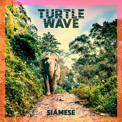 Turtle Wave - Siamese