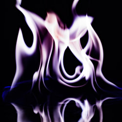 Forces & Fury - Watch It Burn - Internet Download