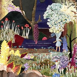 Psychedelic Porn Crumpets - Hymn For A Droid - Internet Download