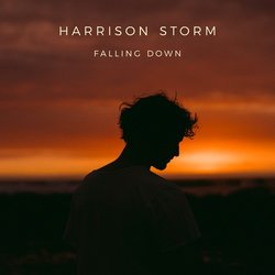 Harrison Storm - How To Help