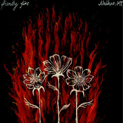 Nathan MT - Friendly Fire - Internet Download