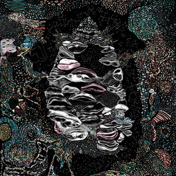 Comfort Creature - Numbers