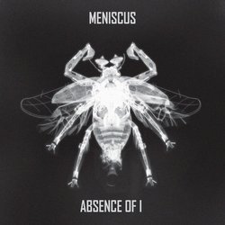 Meniscus - Pilot - Internet Download