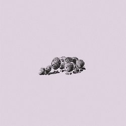 CLAMM - Keystone Pols - Internet Download