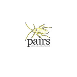 Pairs - A Surgeon In A Hospital In Shanghai Severed A Nerve In My Groin