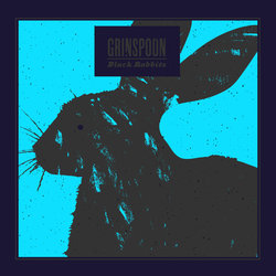 Grinspoon - Final Reward