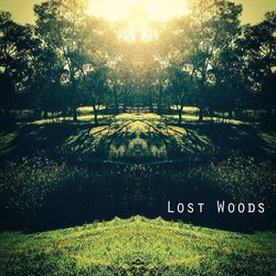 Lost Woods - King Of Aberdeen