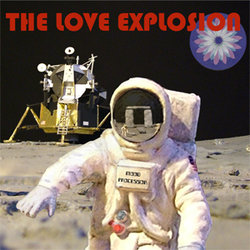 The Love Explosion - Mushroom Hirsute