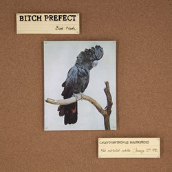 Bitch Prefect - University Fiend