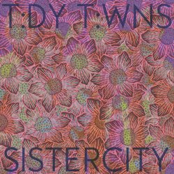 t:dy t:wns - How Will We Split Up All The Furniture (Featuring Lucy Jean Roleff)
