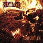 Burnt Earth - Woman