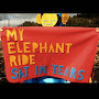 My Elephant Ride - Sat In Tears