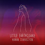 Little Earthquake - Human Connection