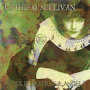 Cathie O'Sullivan - Song of Artesian Waters