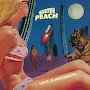 Sister Peach - Love Is Automatic