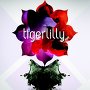 Tigerlilly - Fractions