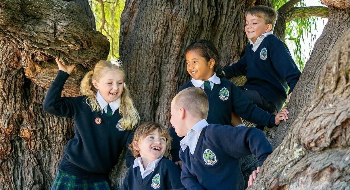 Georgiana Molloy Anglican School children in tree hero
