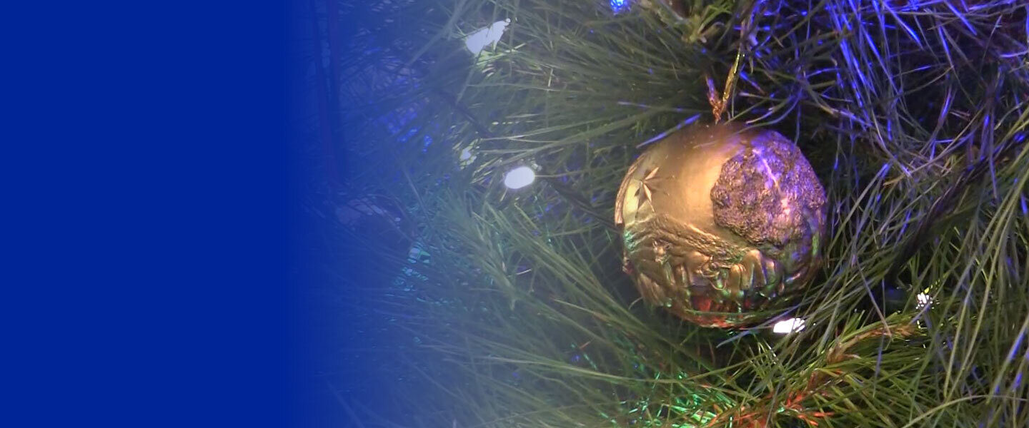 Merry Christmas 2021 Hero