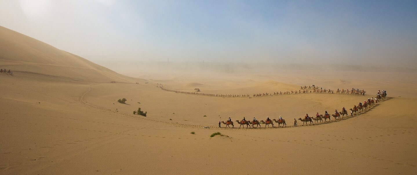 Camel caravan group sand blue sky banner