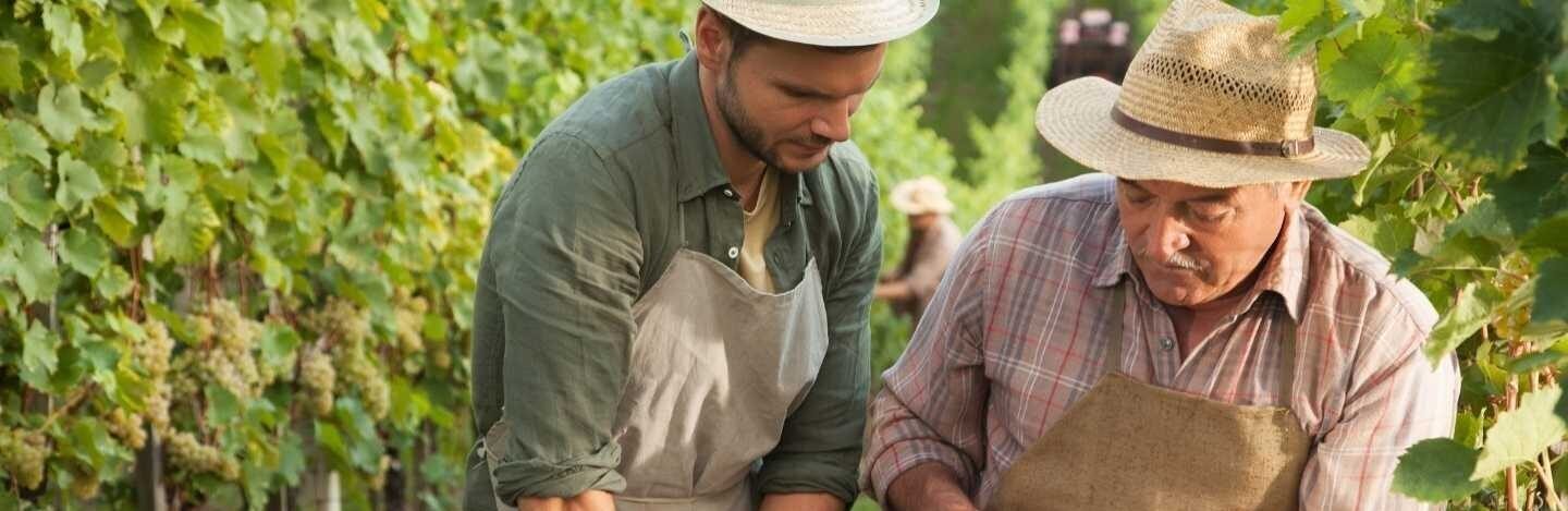 Heartfelt obedience men in vineyard hero