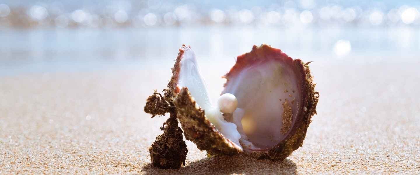 Oyster with pearl on beach