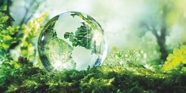 Humanity, Creation and Ecocare