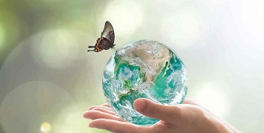 Sustainable September Bible Study