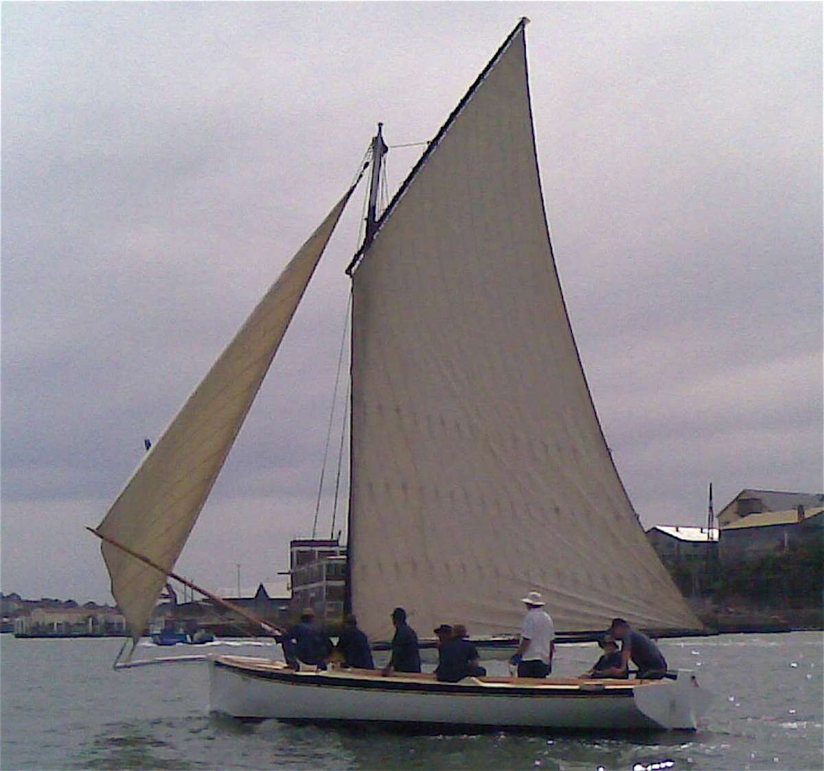 Thistle in full flight