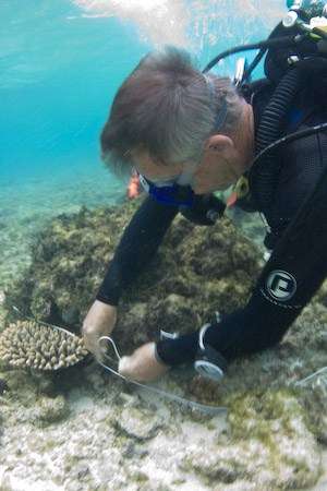 Dr. Nigel Erskine , ANMM, surveying a cluster of anchor chain on site.