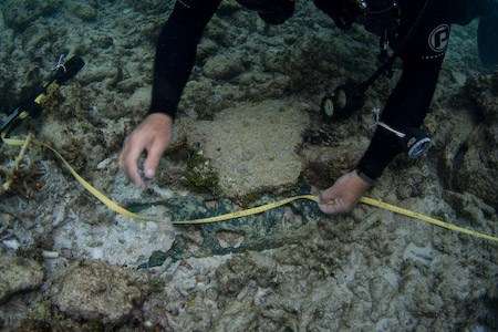 Paul Hundley, ANMM surveying in the schooner