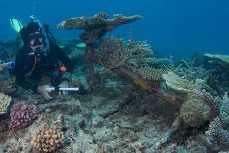 Lee Graham from the Museum