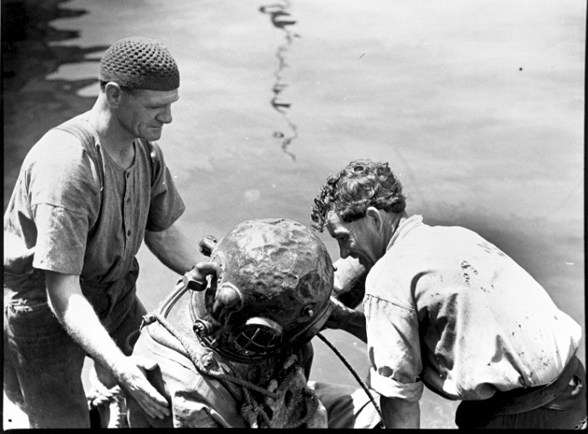 Sam Hood Diver Sam Hood Diver