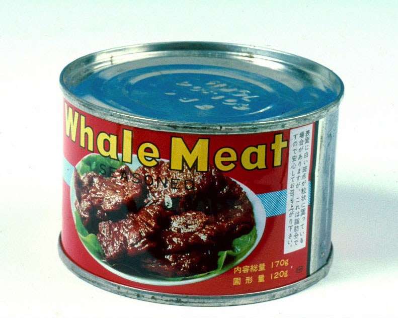 Tinned whale meat, ANMM Collection Tinned whale meat, ANMM Collection
