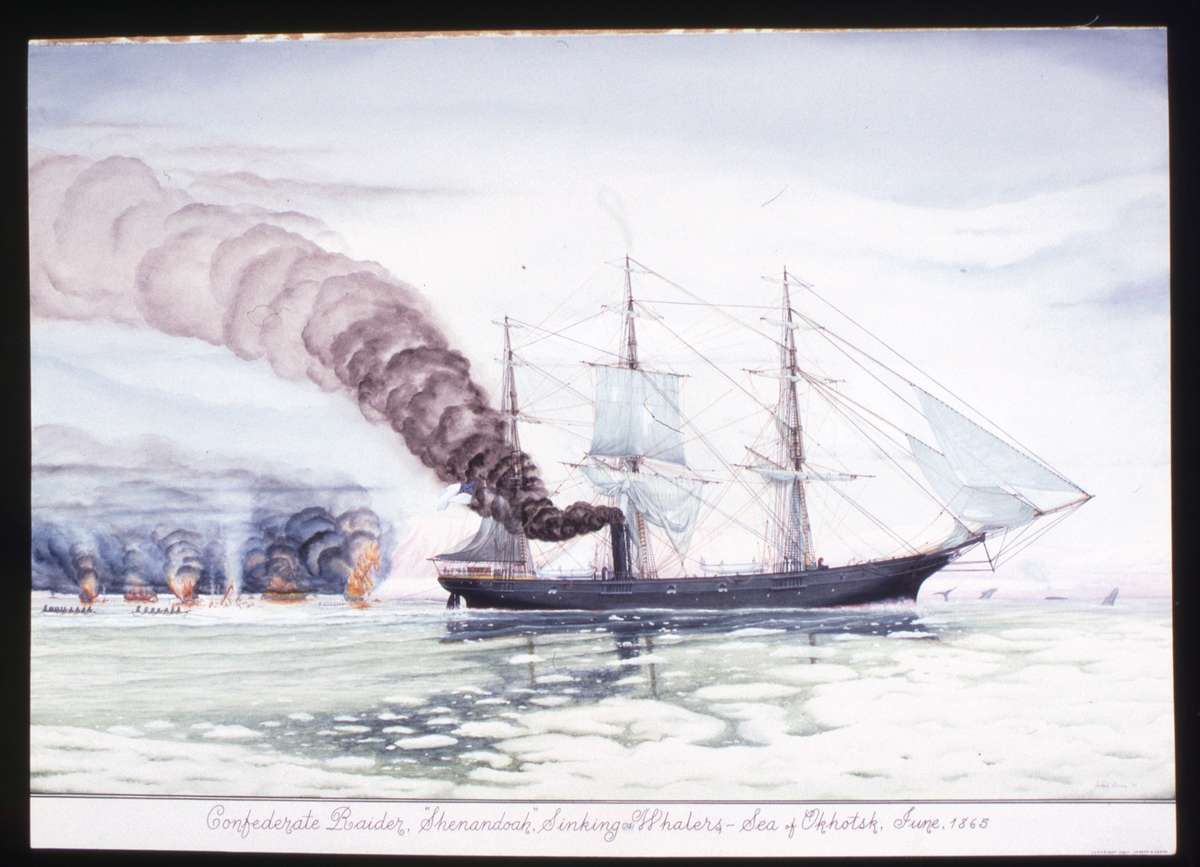 CSS SHENANDOAH