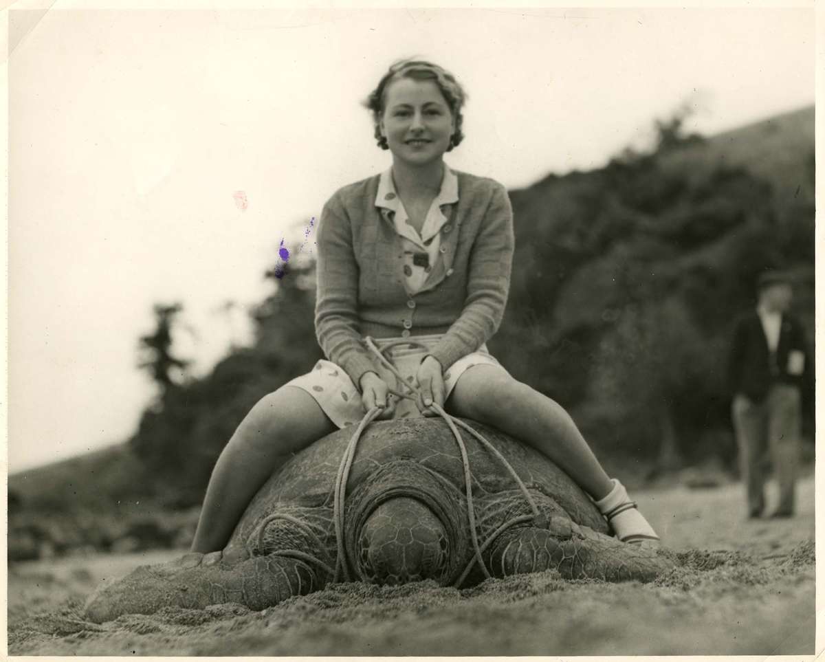 Young woman sitting astride a turtle, c 1930ANMM Collection