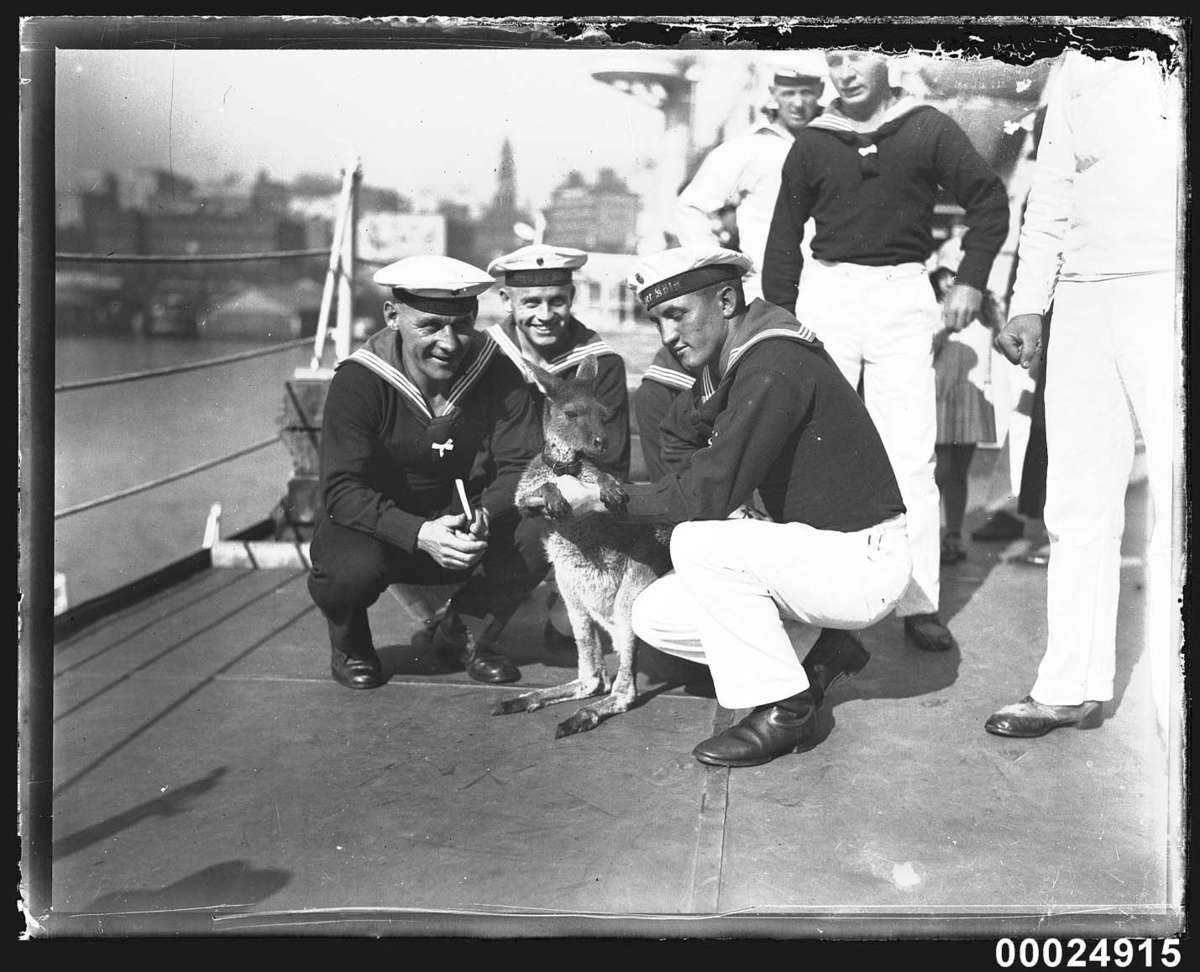 German sailors with a wallaby on board the German cruiser KOLN, May 1933 Photographer: Samuel J Hood Studio ANMM Collection
