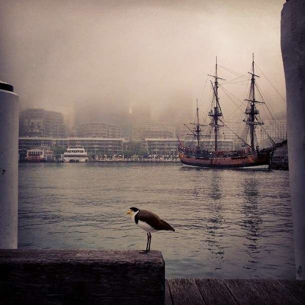 Photo courtesy of Nicole Cama, Curator at Maritime Museum.