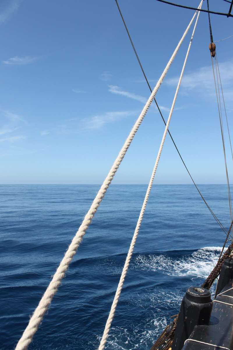 Calm day at sea. Credit Eden Alley-Porter.