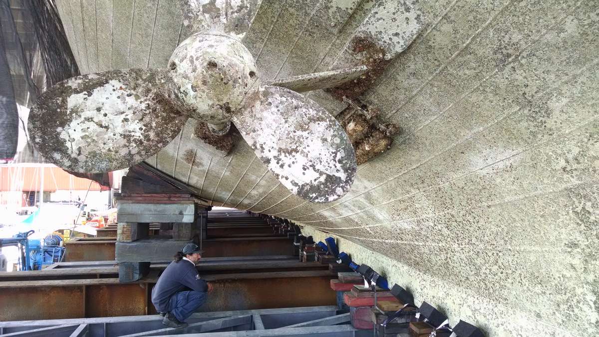 Shipwright and first mate Anthony Longhurst inspecting the keel and planking.