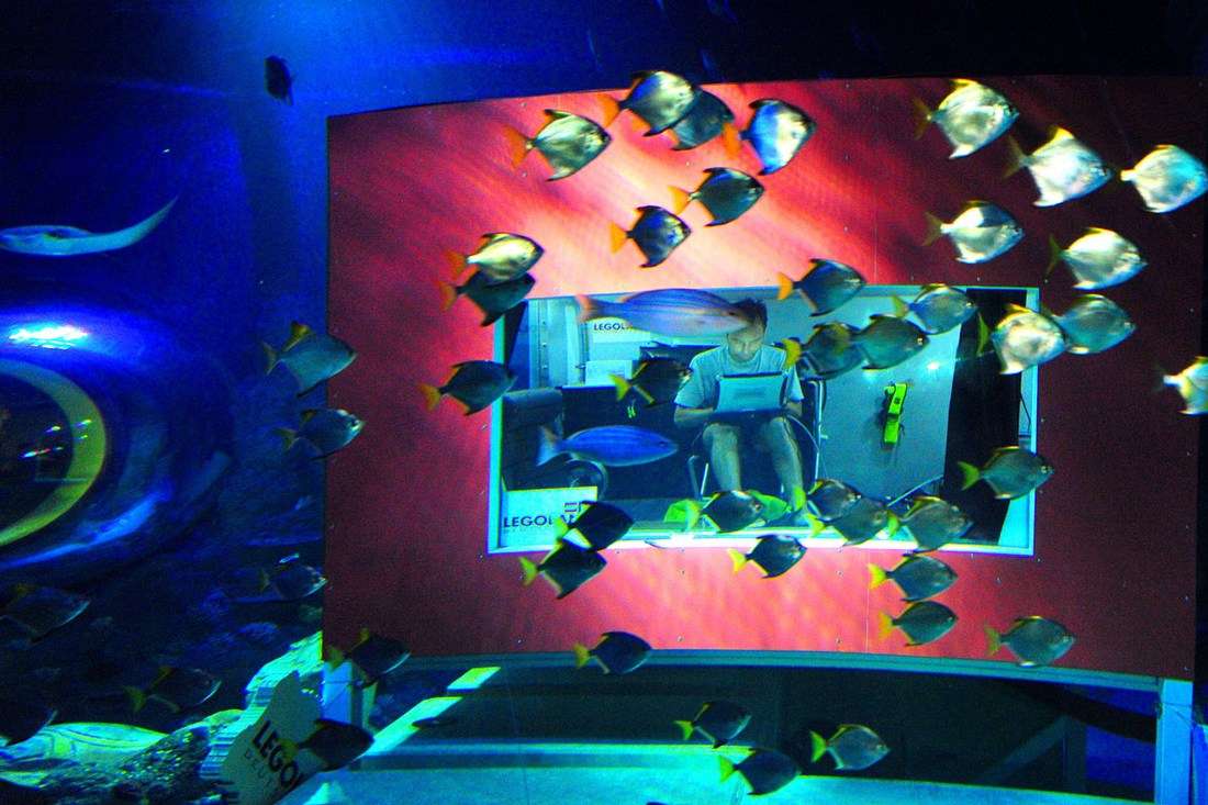 Lloyd Godson underwater at Legoland