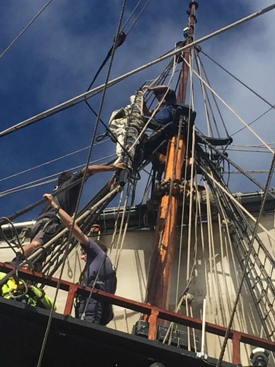 Bringing down the yard.