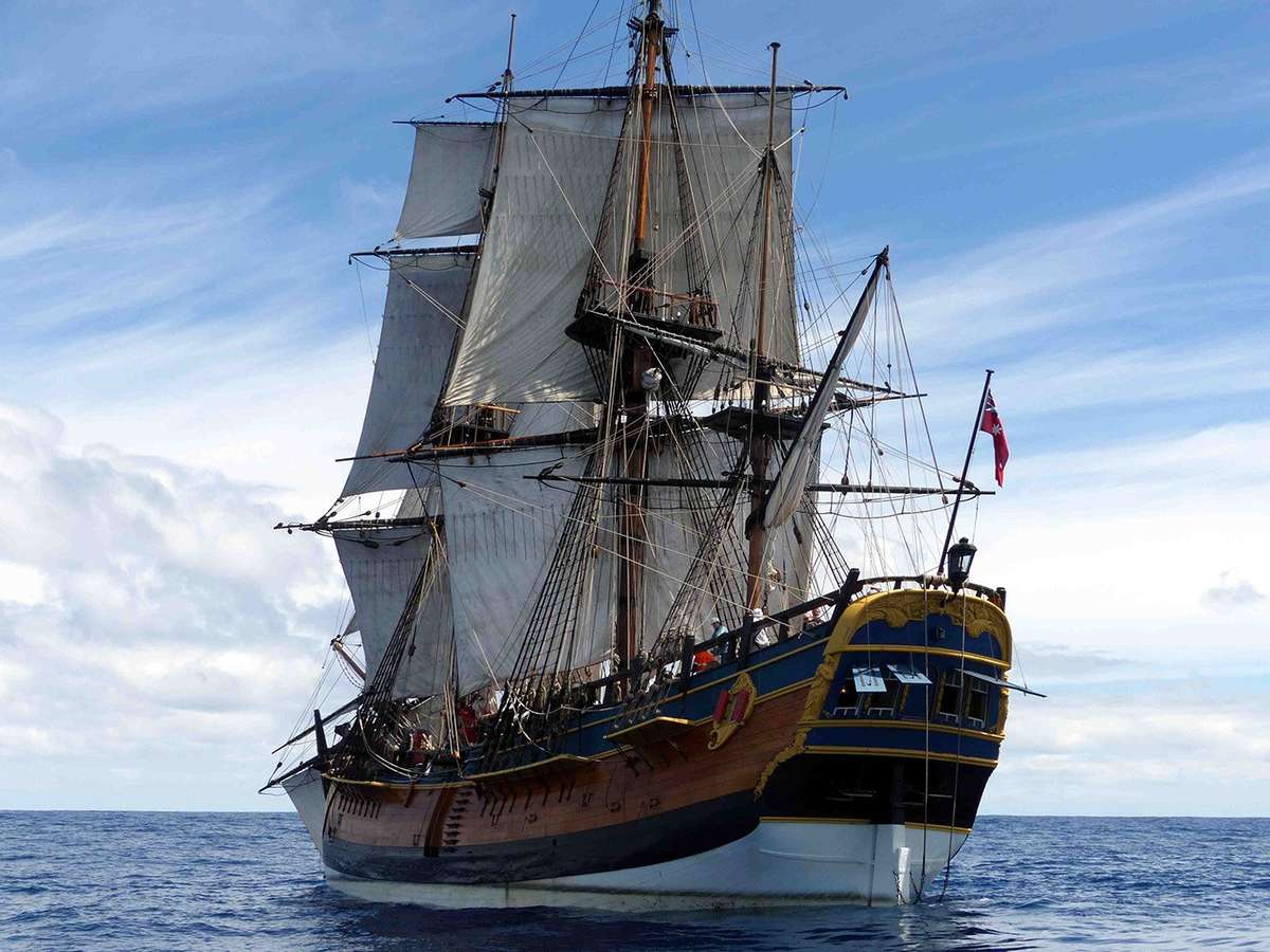 Endeavour, port quarter. Image: Paula Tinney