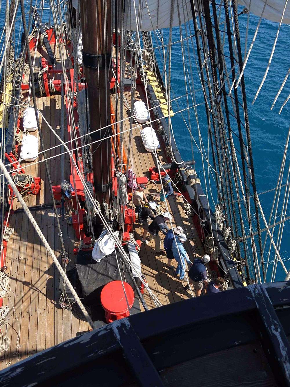 A view from aloft. Image: Ralph Seccombe.