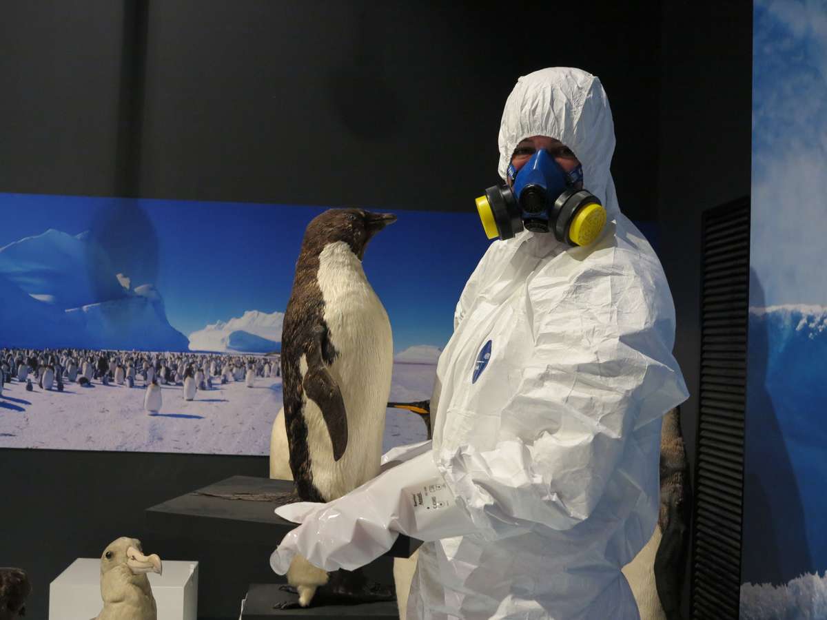 One of our conservators, suited up for work. Image: Kate Pentecost / ANMM. 