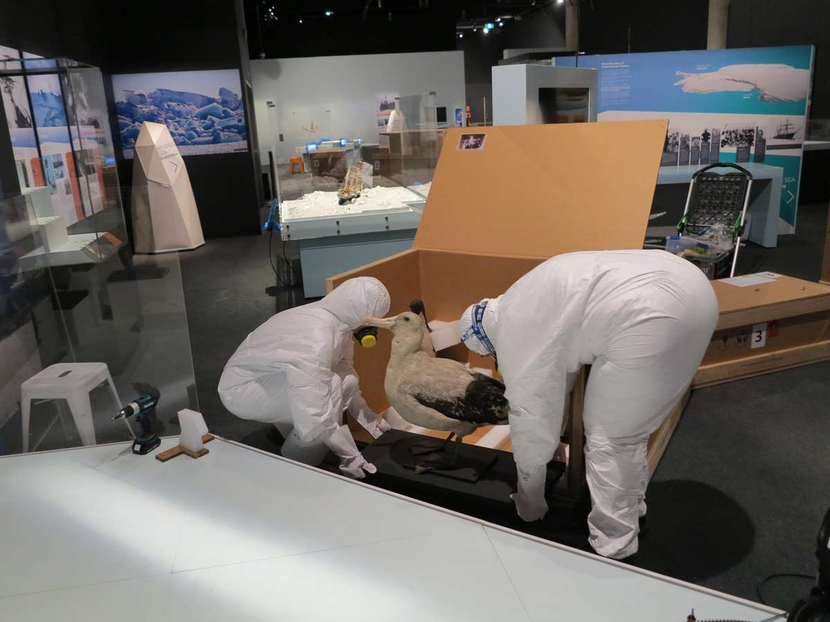 Team work. Image: Kate Pentecost / ANMM.