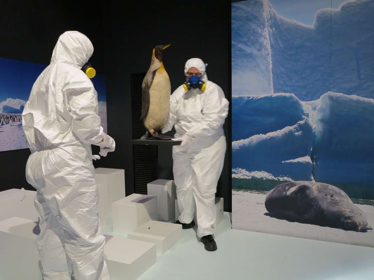 Careful movement of the specimens. Image: Kate Pentecost / ANMM.