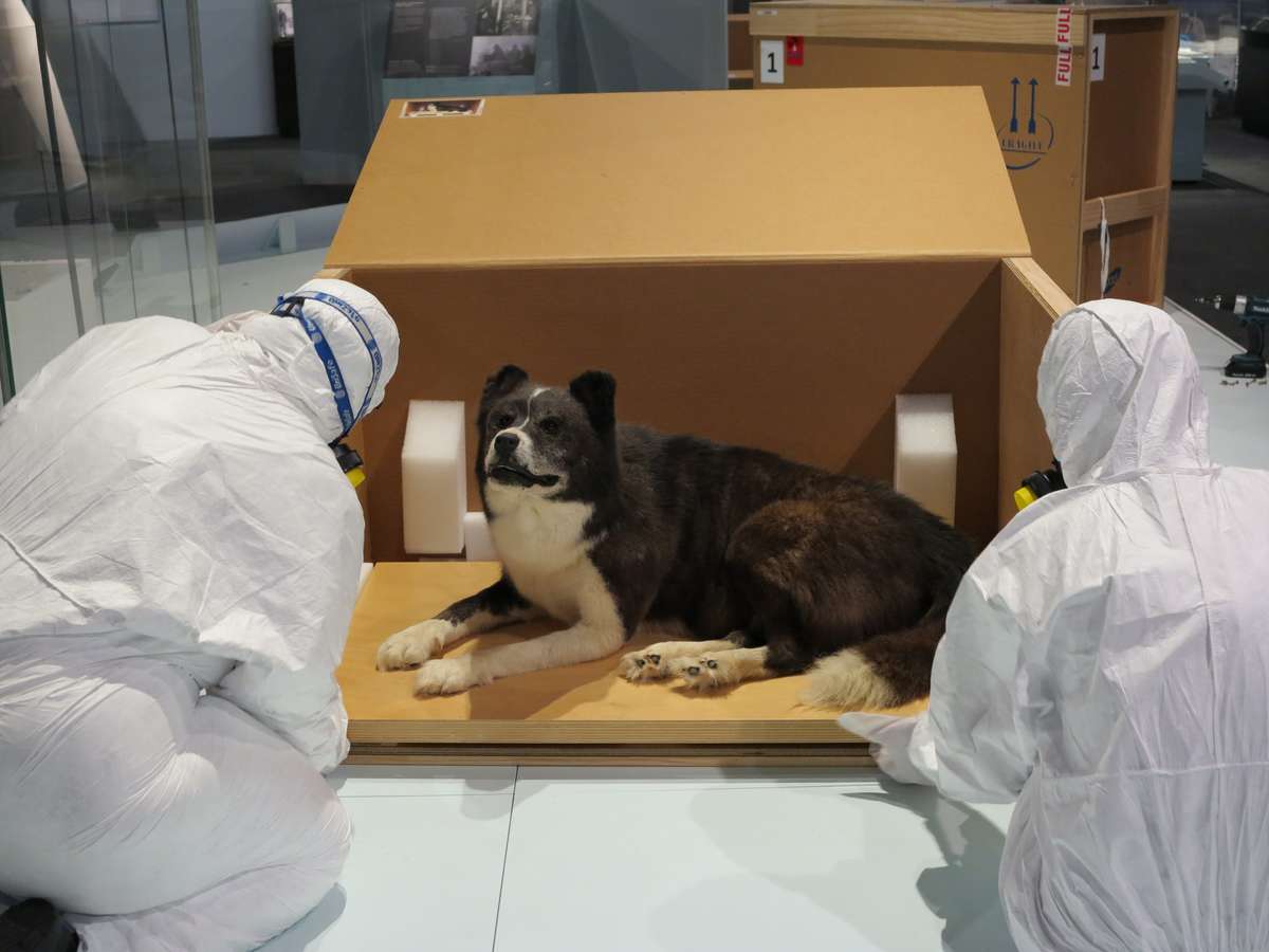 Sliding the final specimen into it