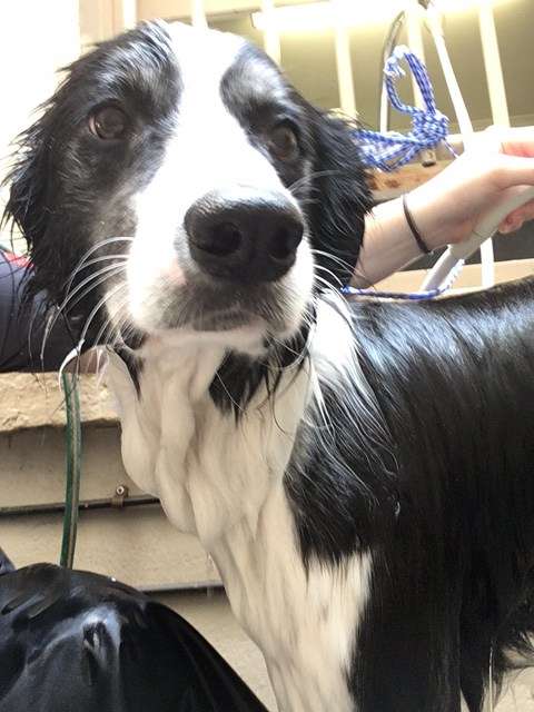 Bath time. Image: ANMM.